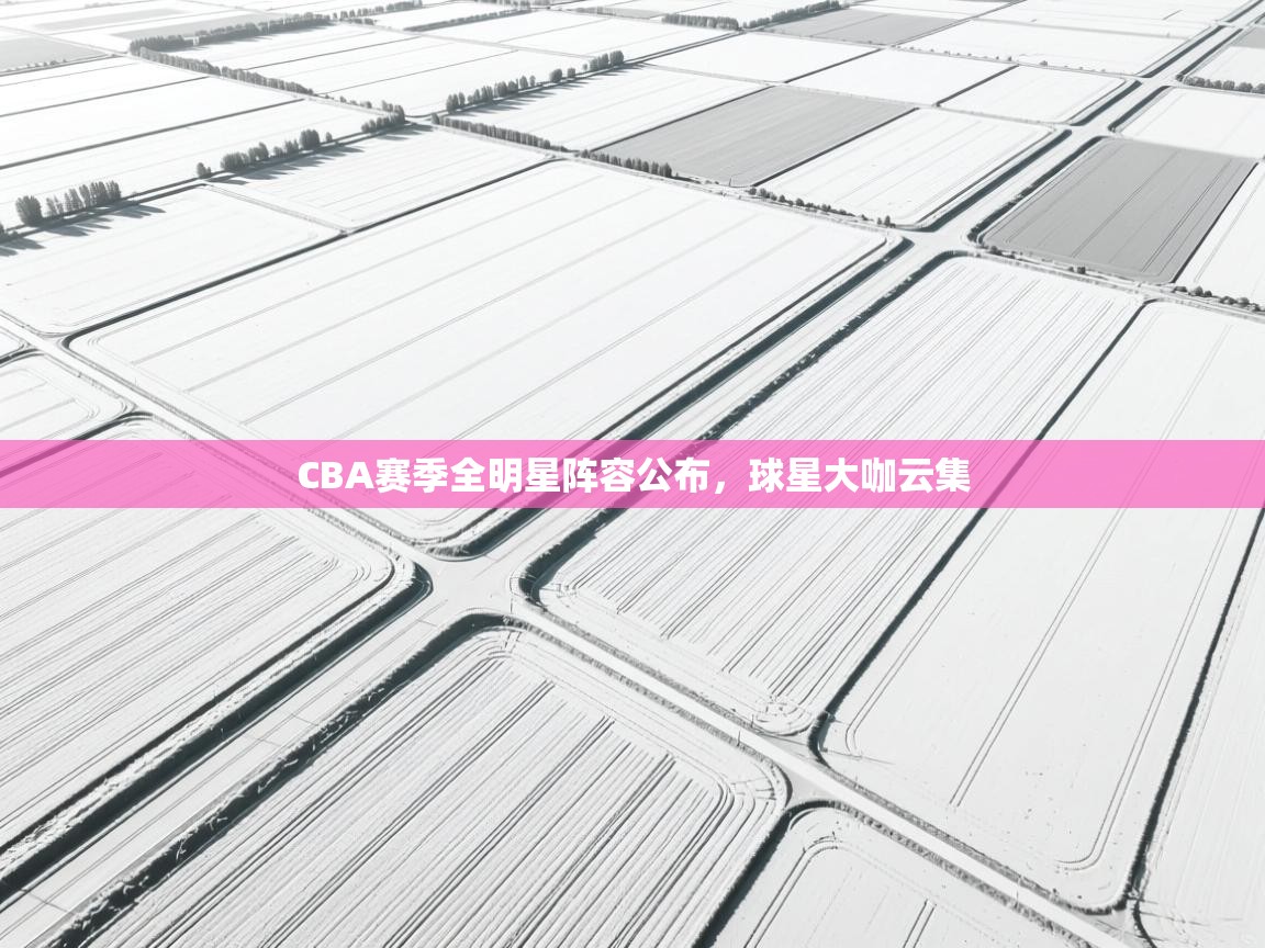 CBA赛季全明星阵容公布，球星大咖云集  第2张